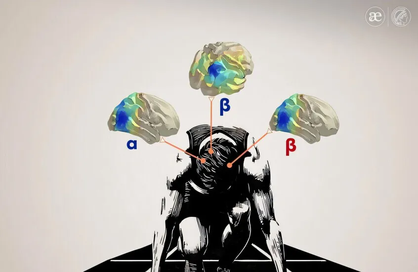 العلماء يكشفون عن آلية دماغية تفسّر سلوك المماطلة وتأجيل إنجاز المهام